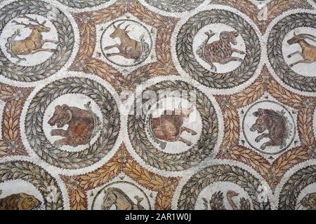 Un antico mosaico romano del 4th secolo d.C., che si trova a Thuburbo Majus, mostra gli animali e viene esposto al Museo Nazionale del Bardo a Tunisi, in Tunisia. Foto Stock