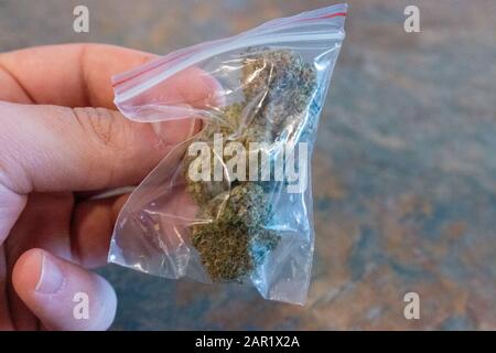 Grande sacchetto di plastica di cannabis medicinale (marijuana). Foto Stock
