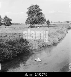 Principessa Beatrix e Prins Claus, seconda giornata di lavoro Visita Drenthe, Drenthe paesaggio Data: 20 settembre 1973 Località: Drenthe Parole Chiave: Paesaggi, principesse, visite di lavoro Nome personale: Beatrix, principessa, Claus, principe Foto Stock