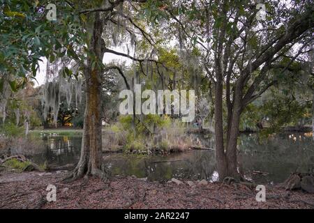 New Orlean, Louisiana, Stati Uniti, City Park - 5 gennaio 2020; Paesaggi con gli alberi e l'acqua Foto Stock