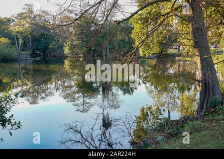 New Orlean, Louisiana, Stati Uniti, City Park - 5 gennaio 2020; Paesaggi con gli alberi e l'acqua Foto Stock