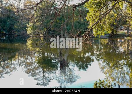 New Orlean, Louisiana, Stati Uniti, City Park - 5 gennaio 2020; Paesaggi con gli alberi e l'acqua Foto Stock