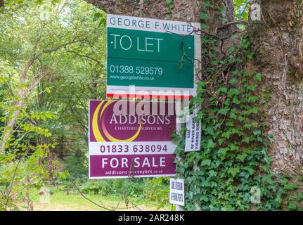 Vendita e affitto tavole da agenti locali per terra, riva del fiume e diritti di pesca. Barnard Castle, Teesdale, County Durham, Inghilterra, Regno Unito. Foto Stock