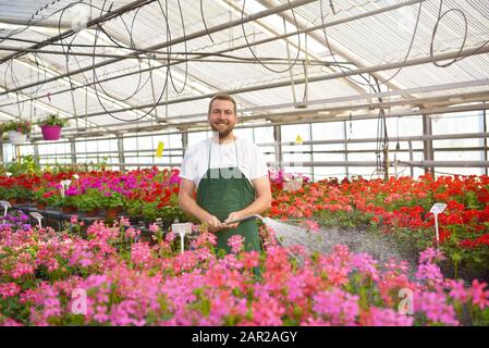 felice lavoratore che cresce fiori in una serra di un negozio di fiori Foto Stock