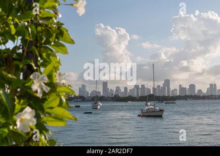 Vista del centro città da South Beach, Miami Beach, Miami, Florida, Stati Uniti d'America, Nord America Foto Stock