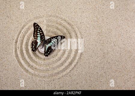 Pietra meditazione giardino Zen per concentrazione e relax con farfalla. Vista dall'alto Foto Stock