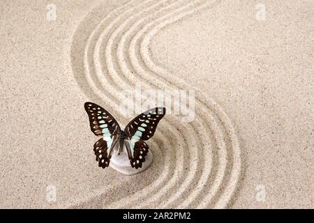 Pietra meditazione giardino Zen per concentrazione e relax con farfalla. Vista dall'alto Foto Stock