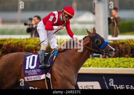 Hallandale Beach, Florida, Stati Uniti. 25th Gen 2020. Hallandale BEACH, Florida - 25 GENNAIO: Mucho gusto, 10, guidato da jockey Irad Ortiz Jr., vince la Coppa del mondo Pegasus 2020 il 25 gennaio 2020 al Gulfstream Park di Hallandale Beach, Florida. Kaz Ishida/Eclipse Sportswire/Csm/Alamy Live News Foto Stock