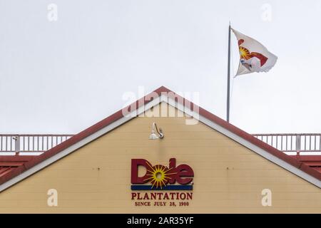 Wahiawa, Oahu, Hawaii, Stati Uniti. - 09 gennaio 2020: Logo dell'azienda e della bandiera in cima all'edificio di benvenuto, ingresso alla piantagione di ananas Dole, museo e. Foto Stock