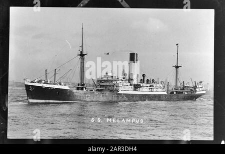 Mn [Merchant Navy]/Anefo London Series flotta mercantile olandese. S.s. Melampus Annotation: Repronegative. Nave mercantile olandese. Il capitano A. Schaap ricevette la Croce di Merit da K.B. dell'8 settembre 1944 2 Data: 1943 luogo: Gran Bretagna Parole Chiave: Flotte mercantili, marina, navi, Seconda guerra mondiale Foto Stock