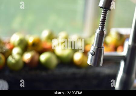 Pomodori in Un Davanzale finestra Foto Stock