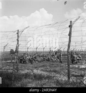 Capitolazione: Harskamp [campo in cui i SS-ers e Landwachters sono stati internati] Incroci dietro la barriera di filo spinato Annotazione: In questo campo circa 4000 prigionieri olandesi SS (tra cui esercito, Landstorm, vichingo, Germania, Holl. Grüne Polizei etc.) in attesa di processo Data: Giugno 1945 luogo: Gelderland, Harskamp Parole Chiave: Campi di internamento, prigionieri di guerra, militare Foto Stock