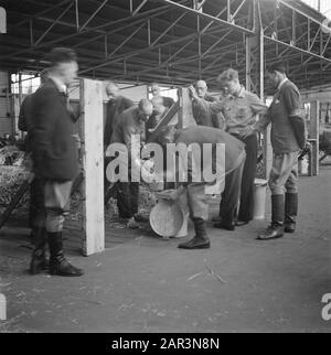 Purificazione: Amsterdam Levantkade [interneringskamp] Reportage dello Interneringskamp sulla Levantkade ad Amsterdam. Ora ci sono circa 4200 prigionieri, c'è spazio per 30.000 persone Data: Giugno 1945 luogo: Amsterdam, Noord-Holland Parole Chiave: Collaboratori, prigionieri, campi di internamento, Seconda guerra mondiale, purificazione Foto Stock