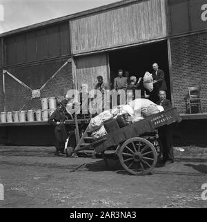 Purificazione: Amsterdam Levantkade [interneringskamp] Reportage dello Interneringskamp sulla Levantkade ad Amsterdam. Ora ci sono circa 4200 prigionieri, c'è spazio per 30.000 persone Data: Giugno 1945 luogo: Amsterdam, Noord-Holland Parole Chiave: Collaboratori, prigionieri, campi di internamento, Seconda guerra mondiale, purificazione Foto Stock