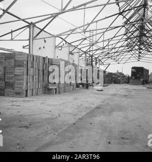 Costruzione di case di emergenza nel capannone Betuwe senza tetto. Scatole di frutta impilate, cesti di vimini e un camion Data: 1945 luogo: Betuwe Parole Chiave: Ricostruzione Foto Stock