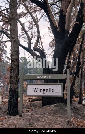 I Boscoscimani australiani sono all'indomani. Wingello, SW. Il fuoco si è verificato la notte del 4 gennaio Foto Stock