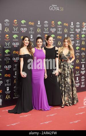 25 Gennaio 2020, Malaga, Andalusia, Spagna: Elsa Anka, Lidia Torrent, Remedios Cervantes, Barbara Kimpel Partecipa Al 34th Goya Cinema Awards 2020 - Red Carpet Al Jose Maria Martin Carpena Stadium Il 26 Gennaio 2020 A Malaga, Spagna (Credit Image: © Jack Abuin/Zuma Wire) Foto Stock