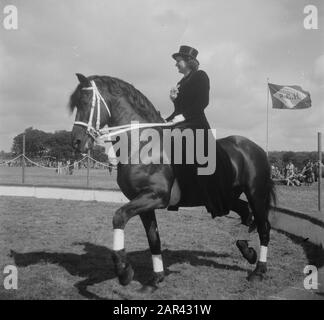 Regina Strassburger a cavallo Data: 9 gennaio 1950 Parole Chiave: Cavalli, dressage cavallo Nome personale: Strassburger, Regina Foto Stock