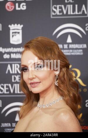 25 Gennaio 2020, Malaga, Andalusia, Spagna: Cristina Castano Partecipa Al 34th Goya Cinema Awards 2020 - Red Carpet Al Jose Maria Martin Carpena Stadium Il 26 Gennaio 2020 A Malaga, Spagna (Credit Image: © Jack Abuin/Zuma Wire) Foto Stock