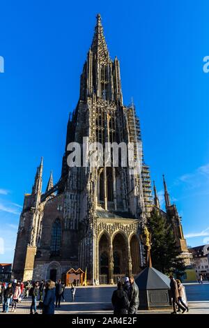 Ulm, Germania, 29 dicembre 2019, minster famoso in tutto il mondo, un edificio gotico della cattedrale con alti ponteggi e ponteggi, un magnete turistico Foto Stock