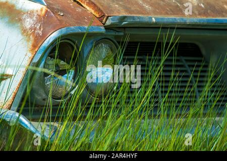 Fari rotti su una macchina Abbandonata nel Grass Foto Stock