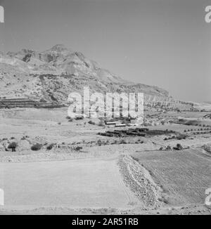 Israele 1964-1965: Ein Gedi Vista del kibbutz Ein Gidi. Date: 1964 Location: Ein Gidi, Israel Keywords: Montagne, Kibbutz Foto Stock