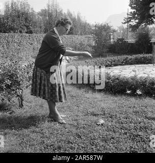 Vacanza viaggio Germania meridionale Hildegard Eschen, moglie di Van de Poll, con una tartaruga in linea Data: 1964 Località: Germania Parole Chiave: Villaggi, tartarughe Nome personale: Poll-Eschen, Hildegard van de Foto Stock