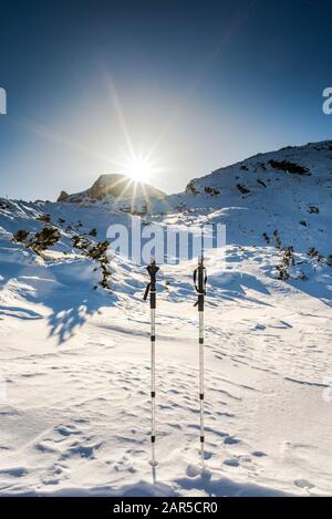 Bastoncini da trekking nella montagna invernale innevata Foto Stock