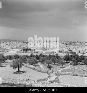 Israele 1948-1949 Gerusalemme. Vista dal Monte degli Ulivi sul Kedrondal in direzione ovest sul Monte del Tempio con la cupola della roccia (al Haram esh Sharif) la città vecchia Data: 1948 posizione: Israele, Gerusalemme, Kedrondal, Monte degli Ulivi, Monte del Tempio Parole Chiave: architettura, alberi, edifici, colline, edifici di chiesa, torri di chiesa, ecc. monumenti, moschee, panorami, mura della città, urbanismo, torri Foto Stock