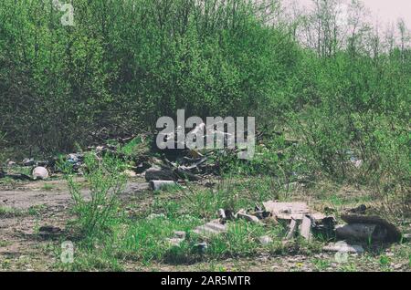 Mucchi di rifiuti e rifiuti vari tra arbusti verdi in crescita in primavera Foto Stock