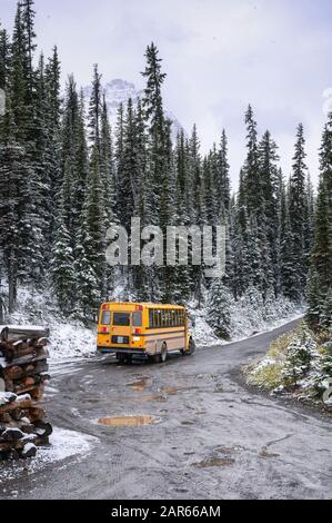 Bus scolastico parcheggiato sulla strada in pineta innevata in inverno al parco nazionale di Yoho, Canada Foto Stock