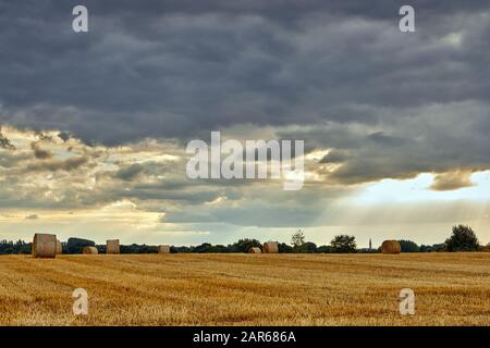 Immagine di rotoli di paglia in un campo. Foto Stock