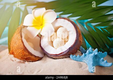 Caramelle in fiocchi di cocco in una noce di cocco fresco. Plumeria frangipani e foglia di palma sullo sfondo Foto Stock