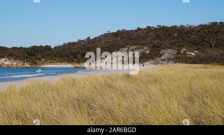 le spettacolari baie rosse delle rocce di fuoco in tasmania, australia. Foto Stock