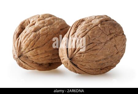 Noci comuni isolati su sfondo bianco con tracciato di ritaglio Foto Stock