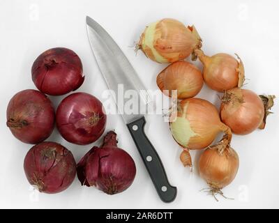 vista dall'alto delle cipolle rosse e gialle con coltello da cucina al centro su sfondo bianco Foto Stock