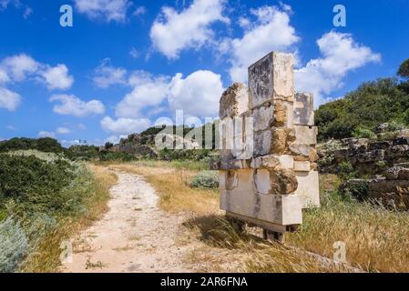 Resti dell'Acropoli di Selinunte antica città greca sulla costa sud occidentale della Sicilia in Italia Foto Stock
