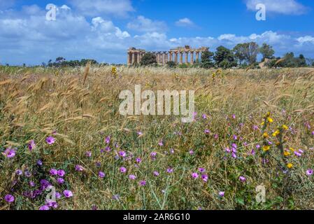 Il Tempio dell'Ordine Dorico e chiamato anche Tempio di Hera sulla collina Est di Selinunte antica città greca sulla costa sud occidentale della Sicilia in Italia Foto Stock