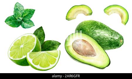 Avocado menta lime set acquerello isolato su sfondo bianco Foto Stock