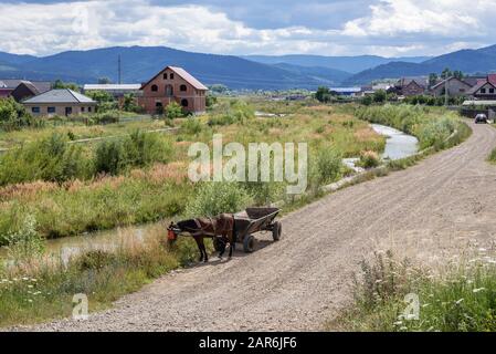 Fiume Sucevita nel villaggio di Marginea, famoso per la produzione di ceramiche nere, situato nella contea di Suceava, Romania Foto Stock