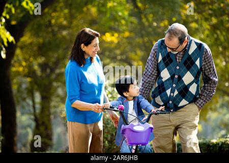 Nonni con nipote imparare a guidare la bicicletta Foto Stock
