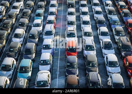 File di auto nuove in attesa di essere vendute. Foto Stock