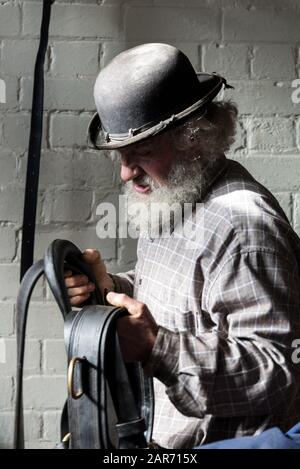 Drayman, Roger Hughes seleziona le redini, parte delle imbracature del carrello dei cavalli di Shire nella stanza di virata stabile alla famiglia ganci Norton Brewery trovato Foto Stock