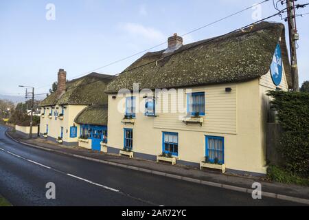 Il Blue Ball Inn, Sidford, pub vicino a Sidmouth, Devon, Regno Unito, parte di Taverne Punch Foto Stock