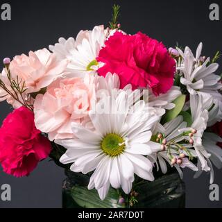 Fiori in vaso garofano margherita con uno sfondo grigio Foto Stock