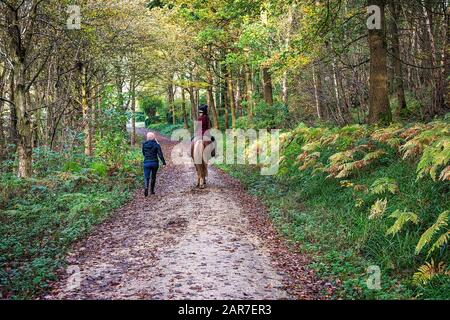 Regno Unito, Sheffield - Ottobre 2020: Madre a piedi come sua figlia cavalcare un cavallo attraverso un sentiero boscoso Foto Stock