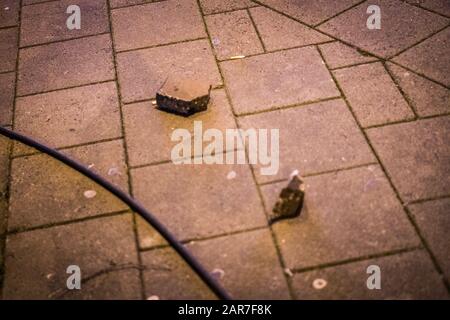 Eindhoven, Paesi Bassi. 26th Gen 2020. Dutchnews, Interruzioni dopo PSV - FC Twente Match Credit: Pro Shots/Alamy Live News Foto Stock