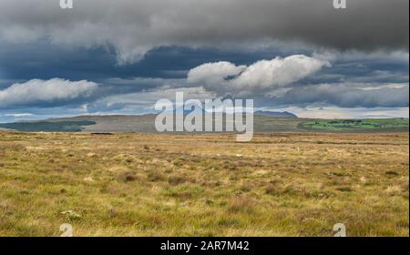 Ammira la palude vicino a Killavally, County Mayo, verso la montagna Silurian quarzite Croagh Patrick, un importante luogo di pellegrinaggio cristiano in Irlanda Foto Stock