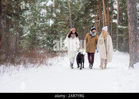 Gruppo di giovani amici in winterwear parlare mentre si cammina con Retriever Foto Stock