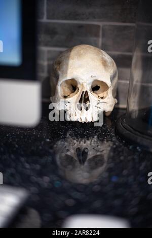 Cranio umano accanto al computer moderno mac luogo di lavoro tatuaggio artista professionale oroscopo magico mistero Foto Stock